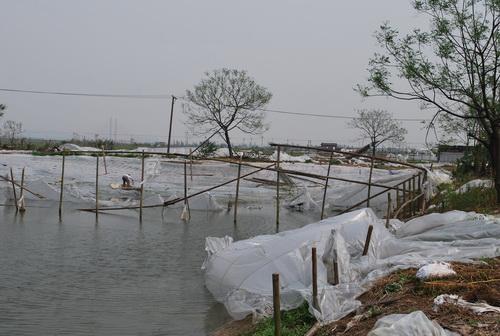 水产养殖生产过程中如何应对台风侵袭